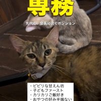 命名時の頃の母猫