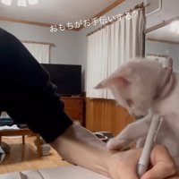 手伝いたい