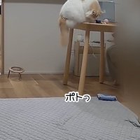 小物を落とすレモンくん