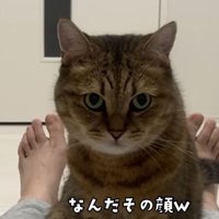 飼い主さんの上にのるみにら君