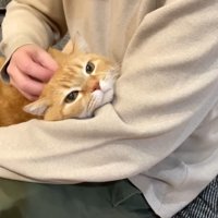 腕の中のプリンくん