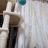 頭に向かっていくボール