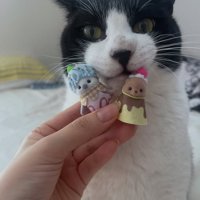 人形と猫