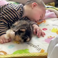 寝ている赤ちゃんと子猫