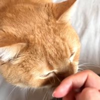 指にタッチ