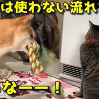 ここは使わない流れなの！