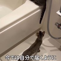 「今では自分で…」と書かれた写真