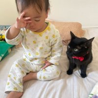 赤ちゃんと猫