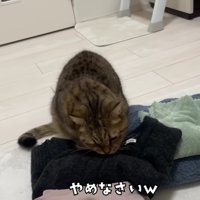 ボタンを噛むみにらくん