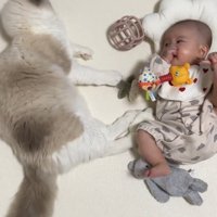 寝転がっている赤ちゃんと猫