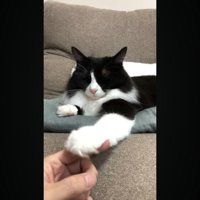 目を閉じた表情
