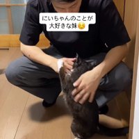 男性に甘える猫