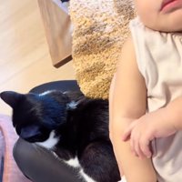赤ちゃんを抱っこしている飼い主さんの膝の上に乗っている猫