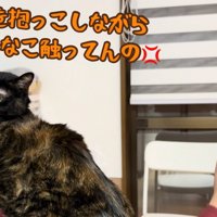 テロップ「私を抱っこしながら～」