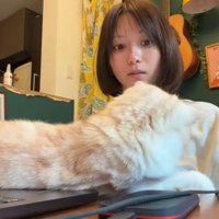飼い主を噛む猫