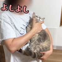テロップ「よしよし」