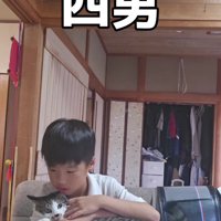 宿題をしている男の子と猫