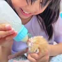女の子と子猫