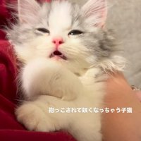 目を細めながら小さく口を開けるてん君
