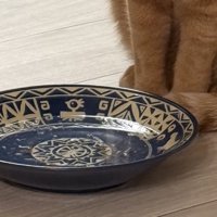 鰹節を浮かべた水入れ
