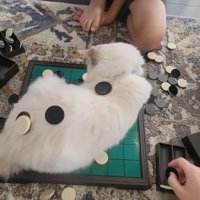 飽きた