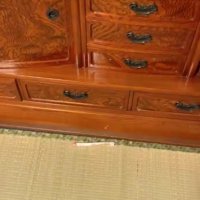 落ちた歯ブラシ