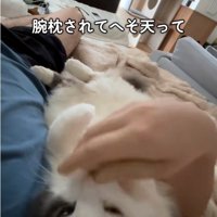 寝転んでいる人と猫