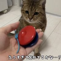 「久々すぎて...」のテロップ写真1