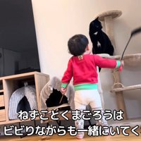 テロップ「ねずことくまごろうは～」