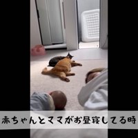 テロップ「赤ちゃんとママが～」