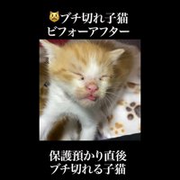 目を瞑った表情