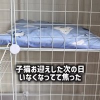 ケージの中にある水色のクッション