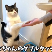 ダブルタッチ