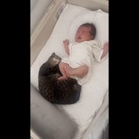 赤ちゃんと添い寝