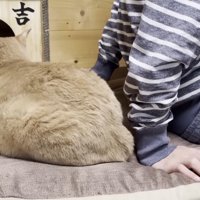 ひのきちゃんの後ろ姿