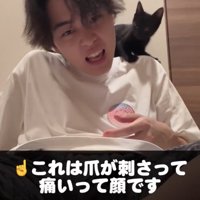 爪を刺す黒猫と痛い飼い主
