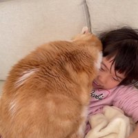 Switchをしている子供の上に乗っている猫