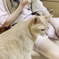 猫ちゃんと娘さん