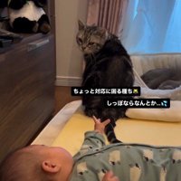床で寝ている赤ちゃんと座っている猫
