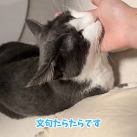 テロップ「文句たらたらです」