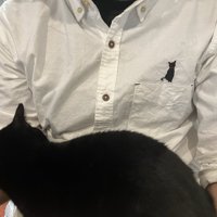 ご主人の上に座る猫