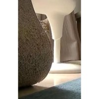 見守りカメラと猫
