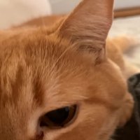 さらにドアップ