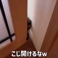 こじ開けるなw