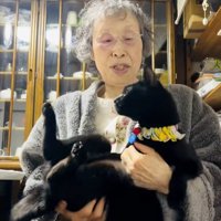 人に抱かれている猫