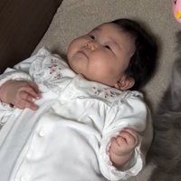 ベッドの上に吊されたおもちゃを見ながら腕を動かす赤ちゃん