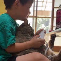ゲームをしている男の子と猫