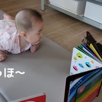 テロップ「やっほ～」