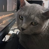 こちらを向いた姿