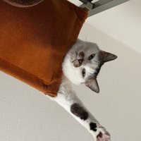 ういくんのアップ